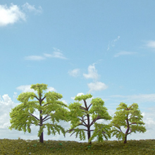 model trees